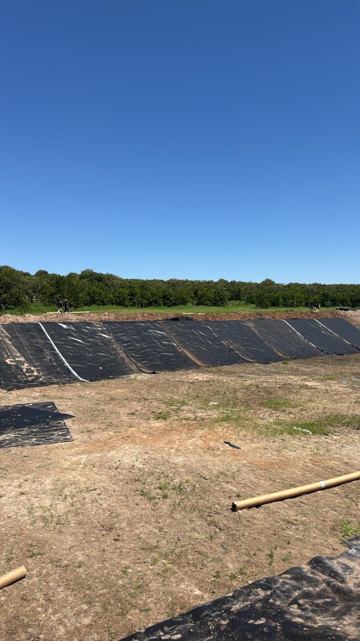 Imagem do WhatsApp de 2025-11-11 à(s) 16.34.16_28038b97