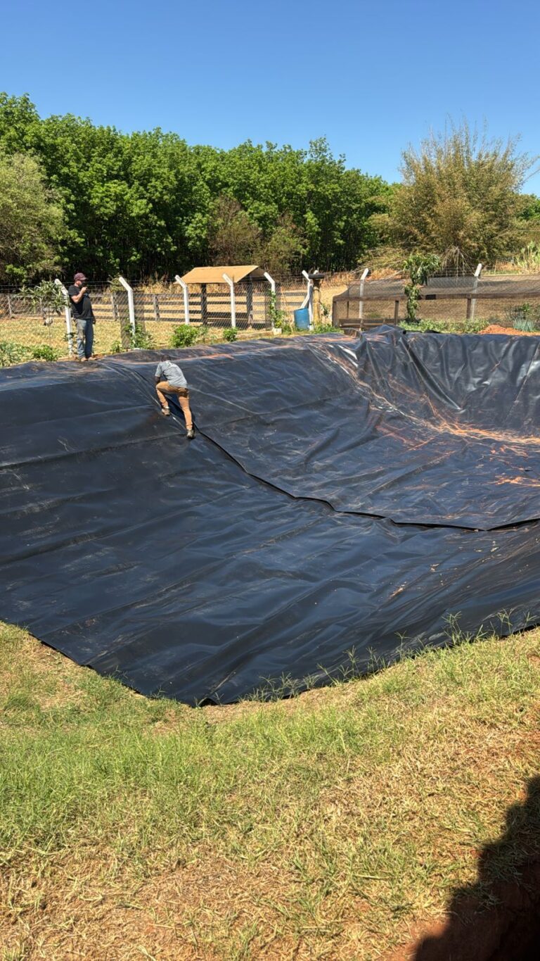 Imagem do WhatsApp de 2025-11-11 à(s) 16.34.18_0f6e3877