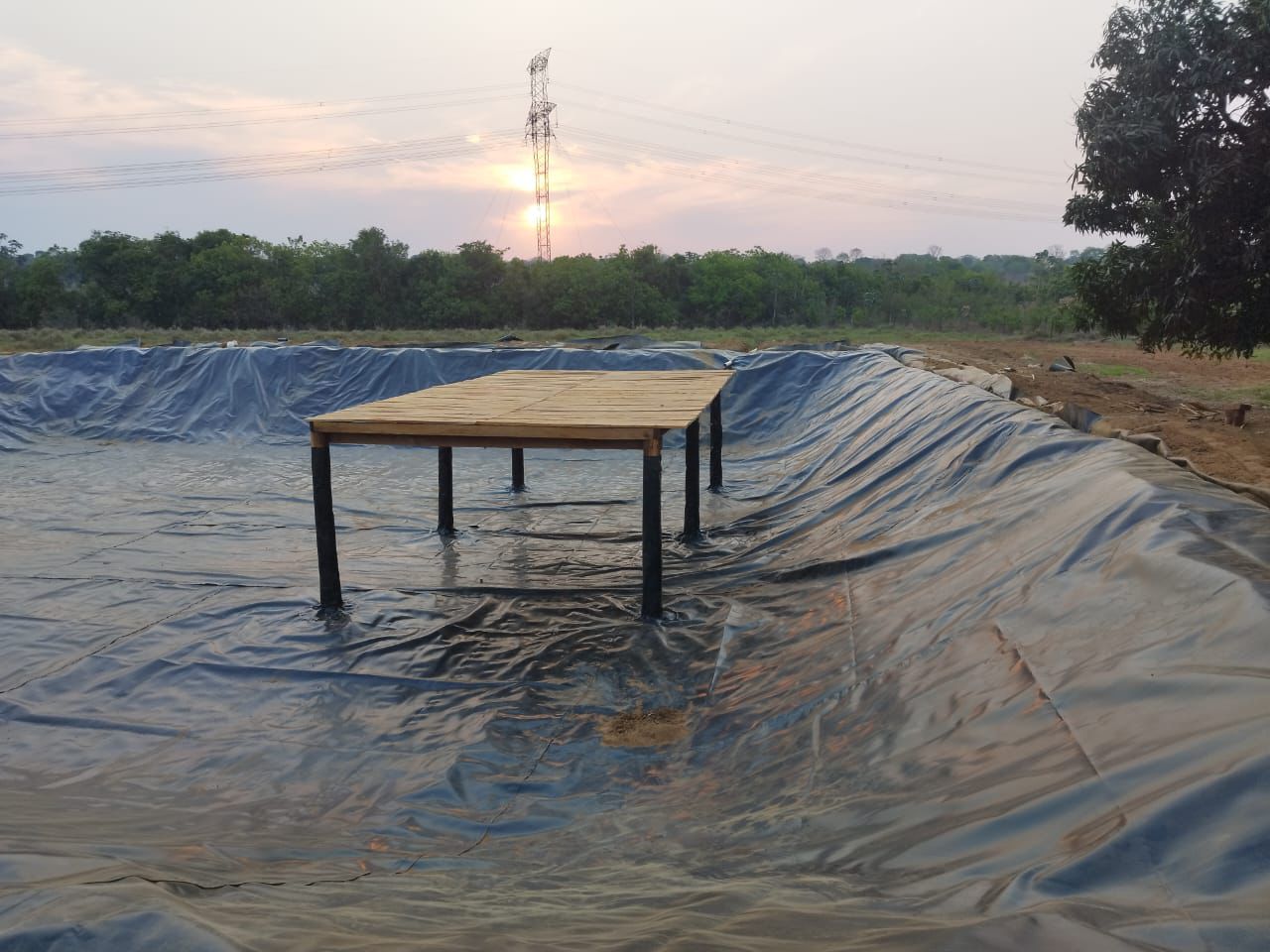 Imagem do WhatsApp de 2025-11-11 à(s) 16.34.23_05b0da9c